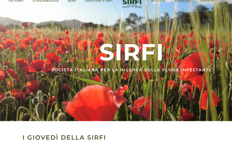 Sirfi